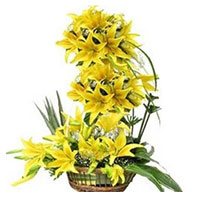 Valentine's Day Flowers Delivery in Hyderabad containing Yellow Lily 2 Ft Arrangement 50 Flower Stems