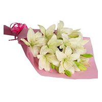 New Year Flowers to Hyderabad : Pink White Lily flowers 