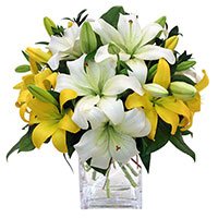 Deliver Valentine's Day Flowers in Hyderabad. White Yellow Lily
