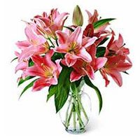 Online Father's Day Flower Delivery Hyderabad