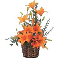 Online Valentine's Day Flowers to Hyderabad contains Orange Lily Arrangement 9 Flower Stems