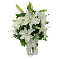 Florist in Hyderabad :  White Lily 
