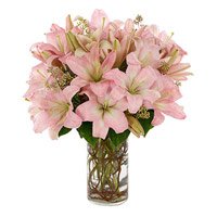 Online Lily Flowers to Hyderabad