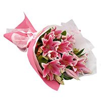 New Year Flowers in Hyderabad : Buy Pink Lily flowers to Hyderabad