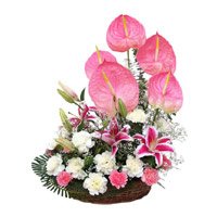 Online Flower Delivery in Hyderabad - Anthurium Basket