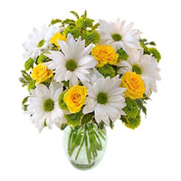 Online Valentine Flower Delivery in Hyderabad - Anthurium Basket