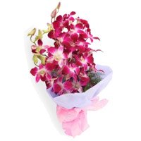 Buy Online Purple Orchid Bunch 5 Flowers Stem and Send Flower to Hyderabad on Friendship Day