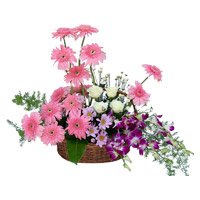 Orchids Roses Flower Delivery in Hyderabad