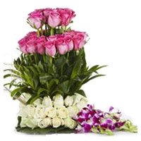 Same Day Valentine's Day Flowers to Hyderabad for your Girl Friend along with 20 Pink Rose 25 White Rose 6 Orchids Flower Basket