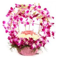 Send Valentine's Day Flowers to Hyderabad send to 8 Orchids and 12 Carnation Basket