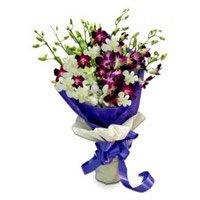 Purple White Orchid Bunch 10 Friendship Day Flowers to Hyderabad with Stem