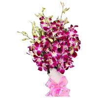 Send Purple Orchid Bunch 12 Flowers in Hyderabad with Stem for Friendship Day