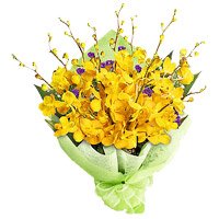 Flower Delivery in Hyderabad for Friendship Day with Bunch of Yellow Orchid 6 Flowers Stem