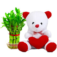Teddy Day Gifts to Hyderabad