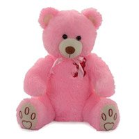 Deliver Soft toys in Hyderabad