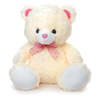 Send Teddy Bear Online Hyderabad