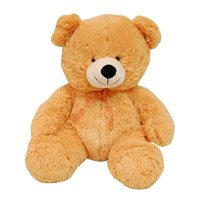 Anniversary Teddy Bear to Hyderabad
