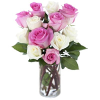 Diwali Flowers to Hyderabad Online including Pink White Roses Vase 12 Flowers in Hyderabad