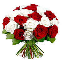 Diwali Flowers to Hyderabad consist of Red White Roses Bouquet 24 Flowers