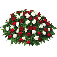 Send 100 Roses to Hyderabad