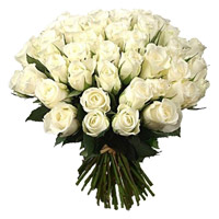 Deliver Flowers to Hyderabad : 50 White Roses