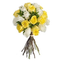 Deliver Flowers to Hyderabad on Diwali, Yellow White Roses Bouquet 24 Flowers