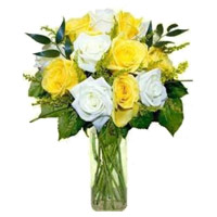 Get Rakhi with Yellow White Roses Vase 12 Flowers Delivery in Hyderabad Online