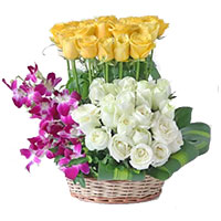 Deliver Rose Day Flowers to Hyderabad